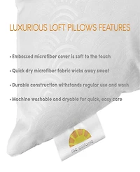 C&C California Crescent Embossed 2-Pack Pillow, Standard