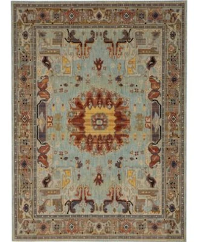 Closeout Karastan Pandora Covetous Area Rug