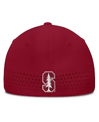 Nike Men's Cardinal Stanford Gameday Aerobill Swooshflex Dri-fit Hat