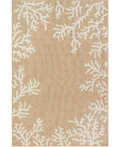 Liora Manne' Carmel Coral Border 6'6" x 9'4" Outdoor Area Rug
