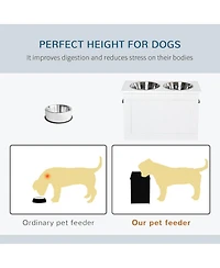Ruie Raised Pet Feeding Station with Stainless Steel Bowls and Storage Base