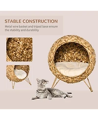 Ruie Elevated Woven Cat Bed Enclosed Kitten House Condo with Cushion