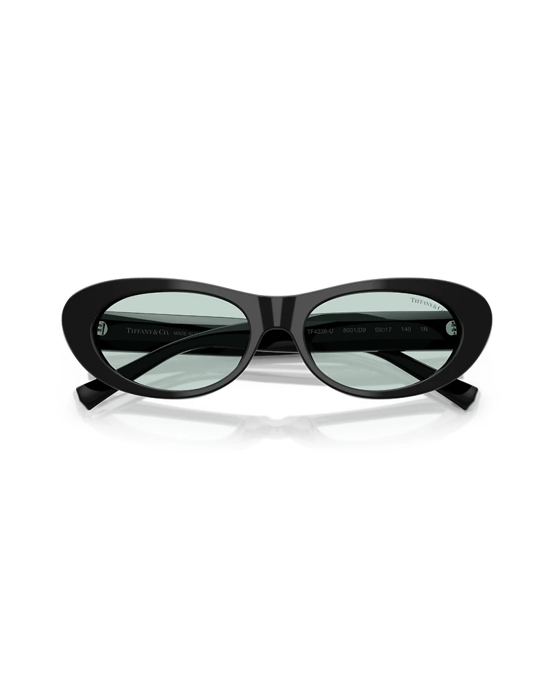 Tiffany & Co. Women's Sunglasses, TF4236U