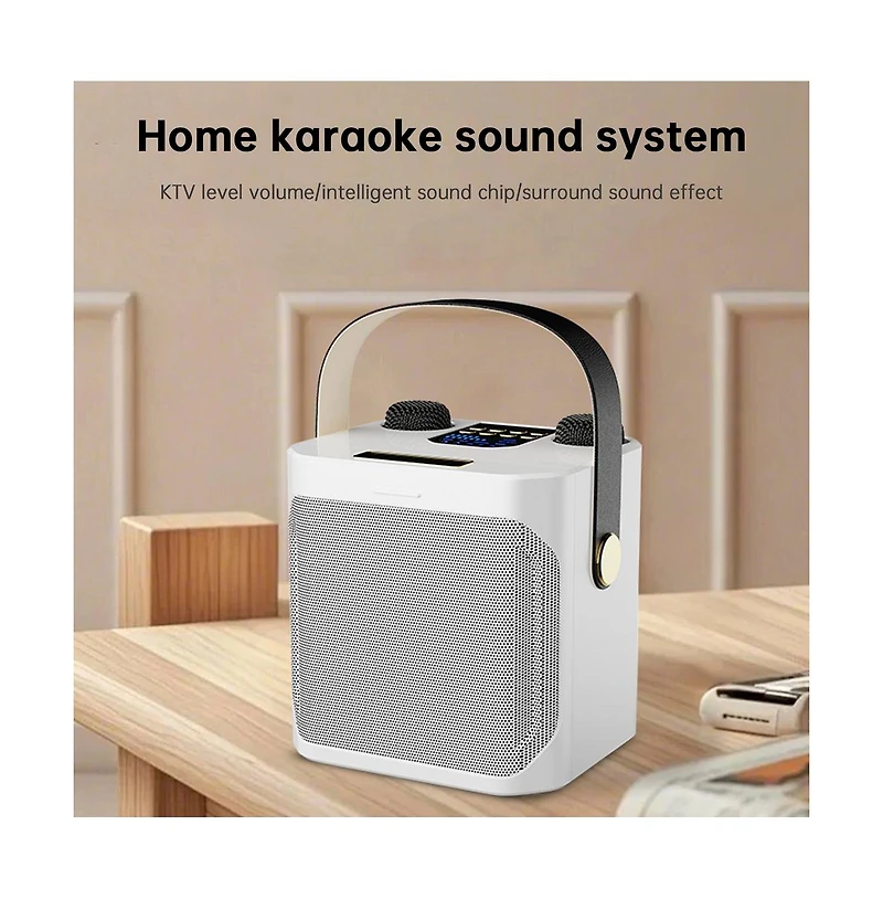 Artudatech 10W Bluetooth 5.3 Dual-Wireless Microphone Karaoke Speaker