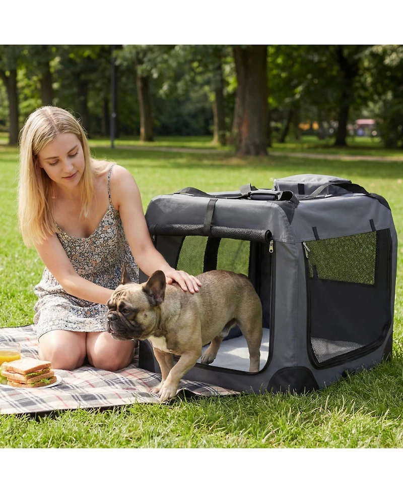 Ruie Foldable Soft-Sided Dog Travel Crate with Mesh Windows and 3 Doors