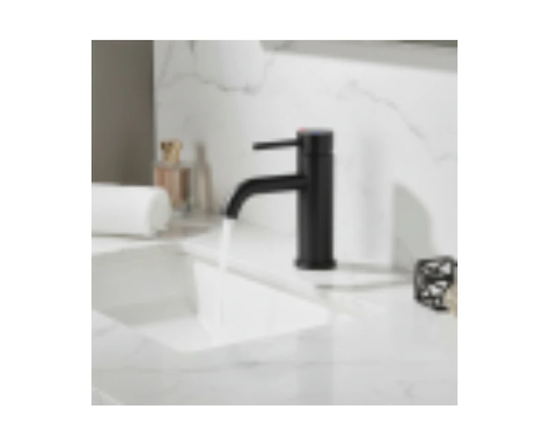 Busdays Single Handle Bathroom Faucet Lavatory Faucet Stainless Steel Single Hole