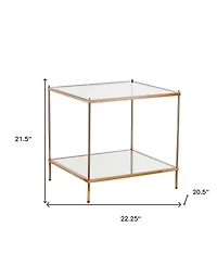 HomeRoots 22" Clear and Glass and Iron Square End Table with Shelf