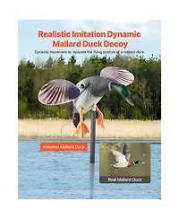 Sevorley Spinning Wing Motion Mallard Duck Decoy, Remote-Control Floating Hunting Decoy