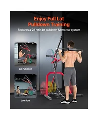 Sevorley Leverage Home Gym with 2:1 Lat Low Row System, 265 lb Capacity