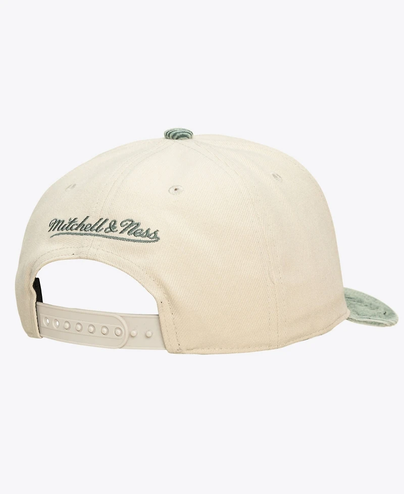 Mitchell & Ness Men's and Women's Cream/Green Boston Celtics Faded Pro Snapback Hat