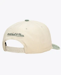 Mitchell & Ness Men's and Women's Cream/Green Boston Celtics Faded Pro Snapback Hat