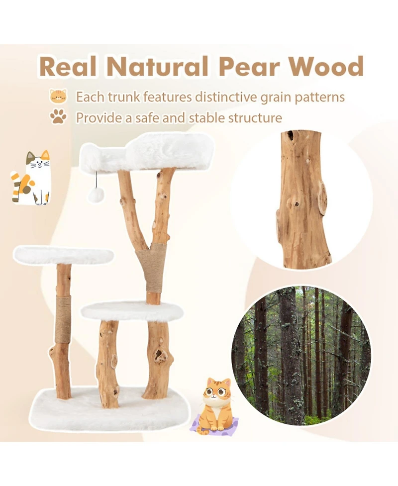 Hongge Solid Wood Cat Tree with Jute Scratching Posts