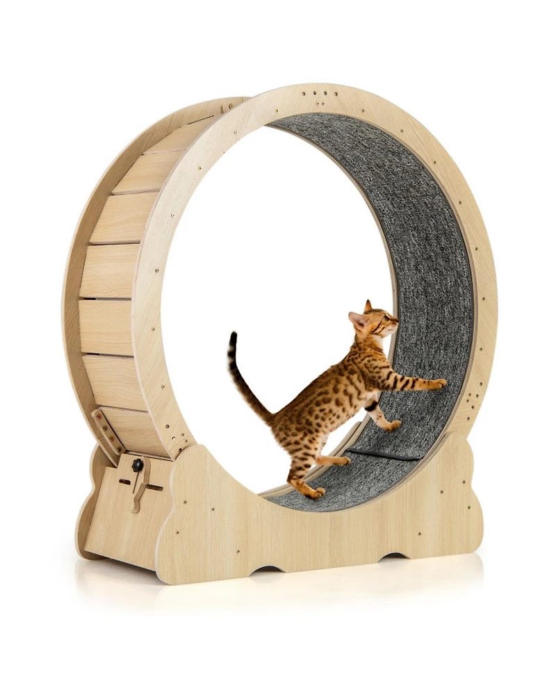 Hongge Cat Exercise Wheel with Carpeted Running Surface, 40 Inch