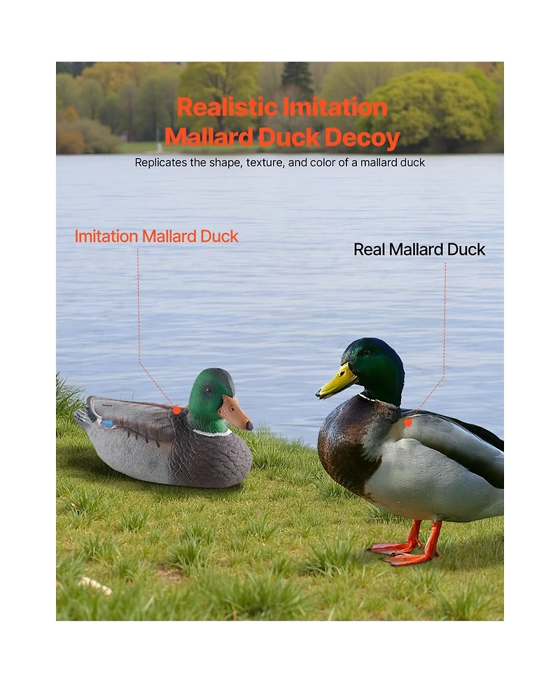Hongge Realistic Weighted Keel Floating Duck Decoys 6-Pack for Hunting