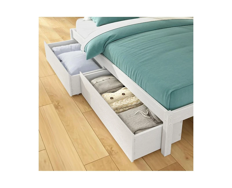 Grain & Grove Bear Furniture Plywood Twin/Full Bunk with Underbed Storage Drawers