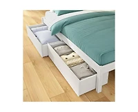 Grain & Grove Bear Furniture Plywood Twin/Full Bunk with Underbed Storage Drawers