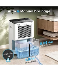Cowsar 85 Oz Dehumidifier with Drain Hose for Home, Quiet Operation