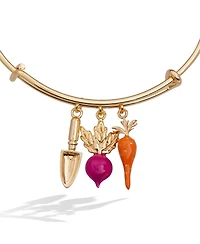 Alex and Ani Farmers' Market Multi Charm Bangle