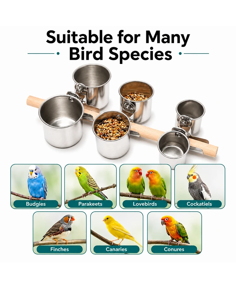 ProMounts Bird Feeding Cup Set (3 Pairs) Stainless Steel Twin Cage Feeders for Food and Water | Small, Medium and Large Bird Cups