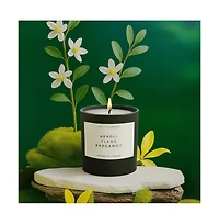 Environment 8oz Candle Inspired by Chanel Chanel