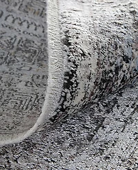 Feizy Sarrant 3966F 7'10"x9'10" Area Rug