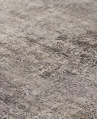 Feizy Sarrant 3964F 6'7"x9'10" Area Rug