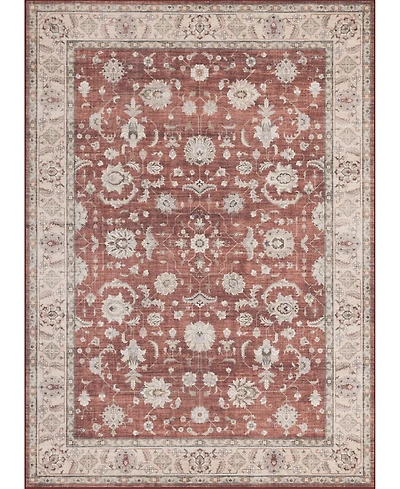 Mink Home Homewell Machine Washable HAM4008 4'11"x6'11" Area Rug