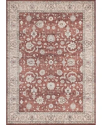 Mink Home Homewell Machine Washable HAM4008 4'11"x6'11" Area Rug
