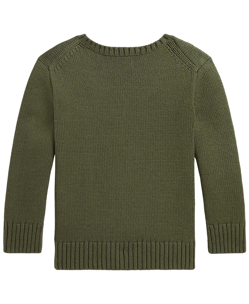 Polo Ralph Lauren Boys' 2T-7 Bear Sweater