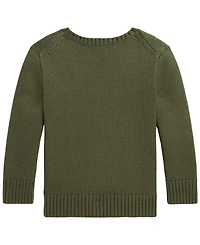 Polo Ralph Lauren Boys' 2T-7 Bear Sweater