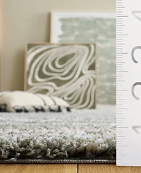 Safavieh Ravine Shag RVE360F 9'x12' Area Rug