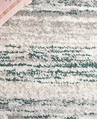 Safavieh Fontana Shag Fnt842 Area Rug Collection