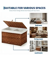 homfan Pe Rattan Storage Basket with Lid and Removable Liner, Divided Large Capacity Organizer Bin, for Bedroom, Living Room, Bathroom