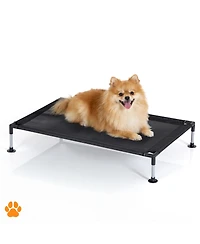 My Duque: Coola Bed