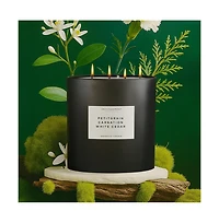 Environment 55oz Candle Inspired by Ysl L'Homme - Petitgrain | Carnation | White Cedar