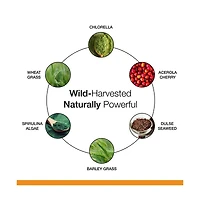 Dr. Schulze's SuperFood 100 - Daily Superfood for Wellness, Energy and Nutrition - Gluten-Free, Dairy-Free