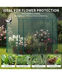 79 x 39 71/106 47 in. Half-Round Crop Cage with Anti-Insect Mesh Netting, Plant Support for Garden Vegetable Bed Greenhouse, Green