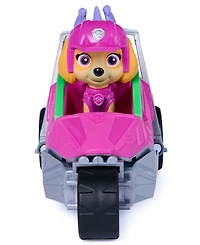 Paw Patrol Dino Theme Skye's Rescue Jet