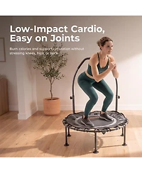 Sunny Health and Fitness Active Fitness Trampoline with Adjustable Handlebar