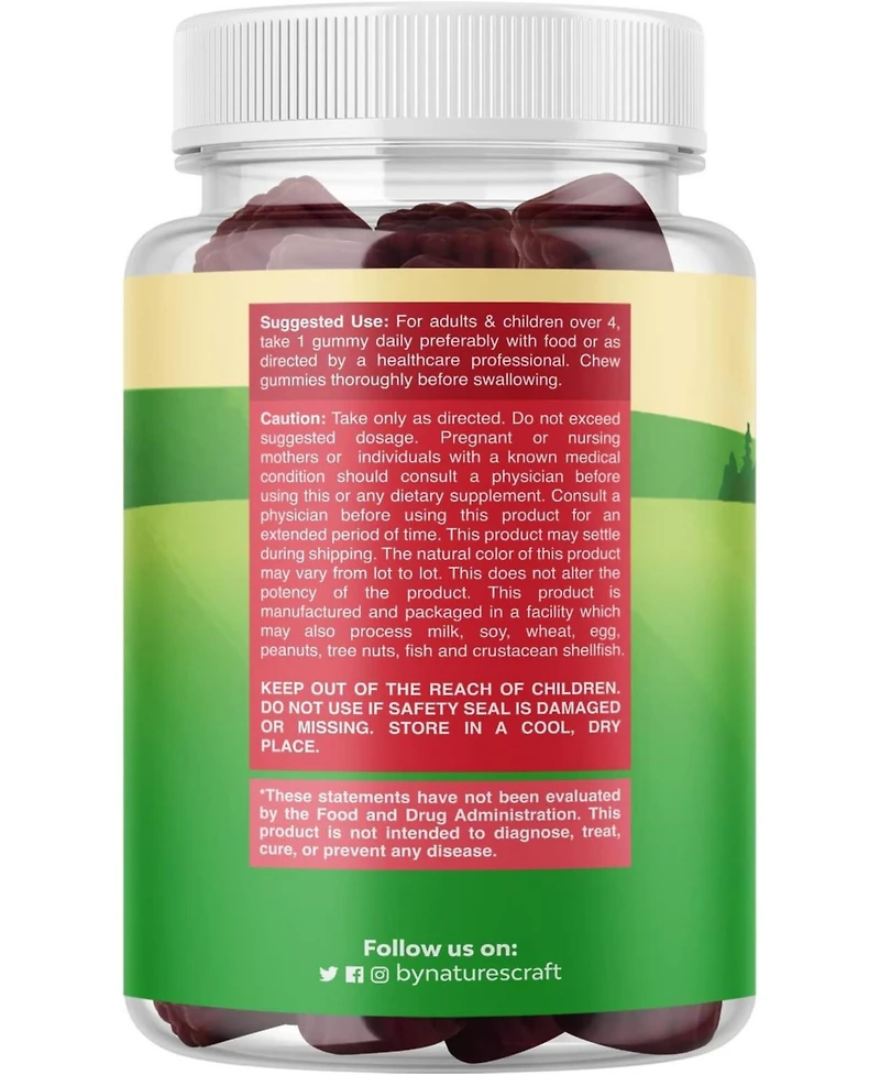 Nature's Craft Kids Elderberry Gummies with Zinc and Vitamin C, Daily Immune Support Gummies for Children, Raspberry Flavor, 60 Count