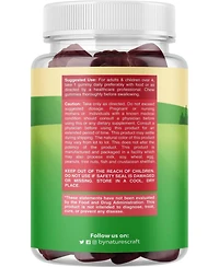 Nature's Craft Kids Elderberry Gummies with Zinc and Vitamin C, Daily Immune Support Gummies for Children, Raspberry Flavor, 60 Count
