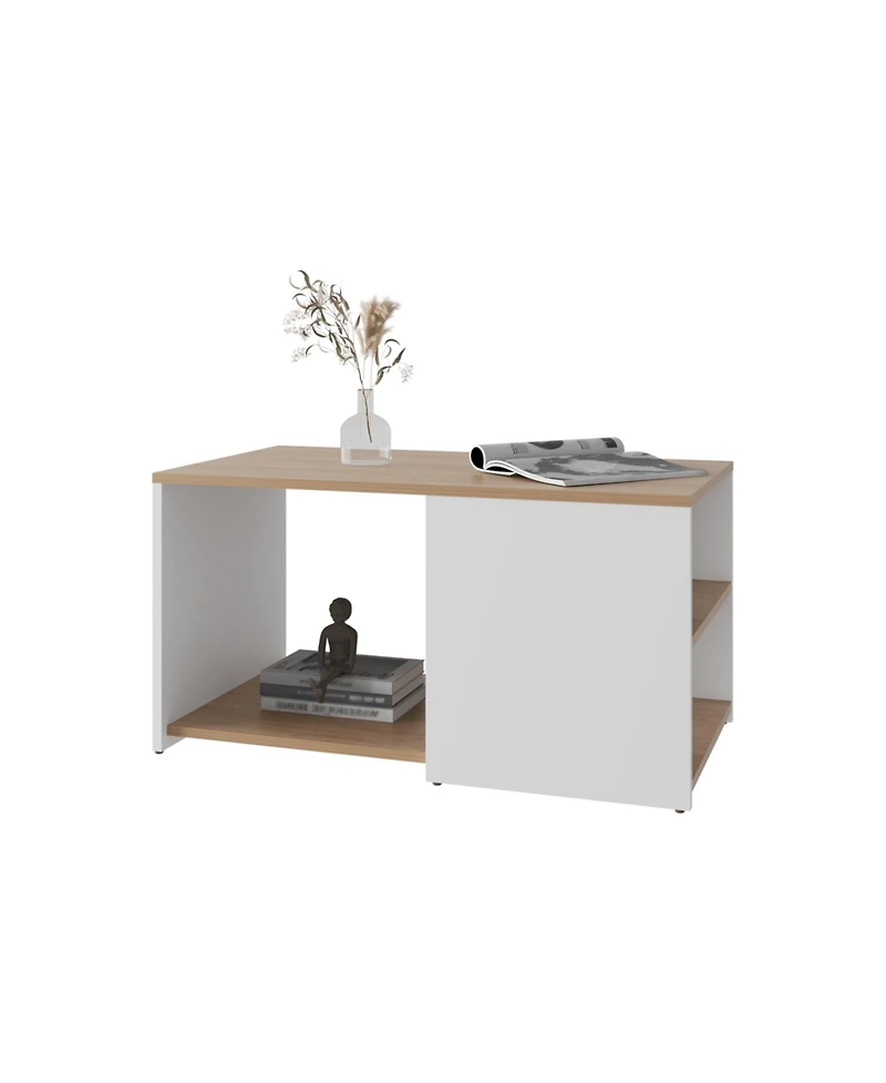 Fm Furniture Kaibito Coffee Table with Open Storage