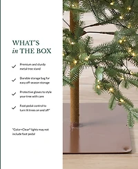 Balsam Hill 6.5 ft Pre-Lit Alpine Balsam Fir Tree