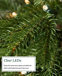 Balsam Hill 4 ft Country Farm Pre-Lit Fir Tree