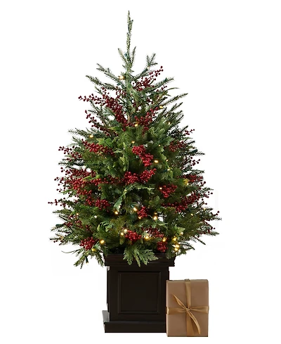 Balsam Hill 4 ft Outdoor Berry Pre-Lit Potted Tree