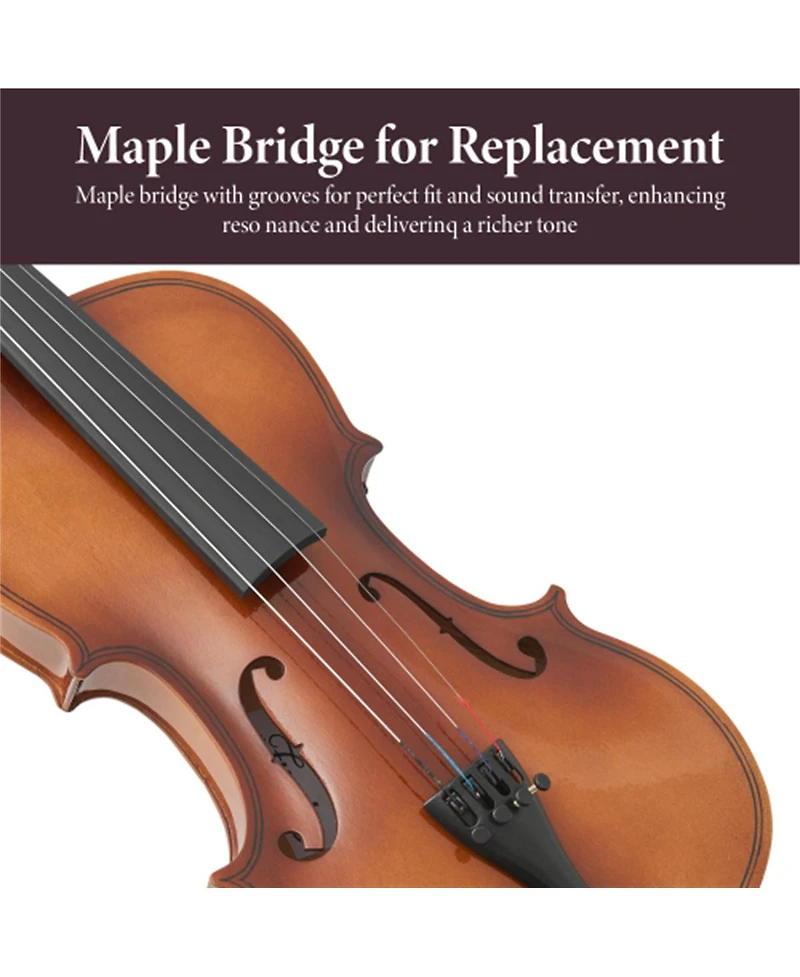 Yobtop Professional 4/4 Full Size Violin Set