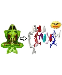 Dissect-It Deluxe Super Frog Lab Realistic Dissection Science Kit, Ages 6+