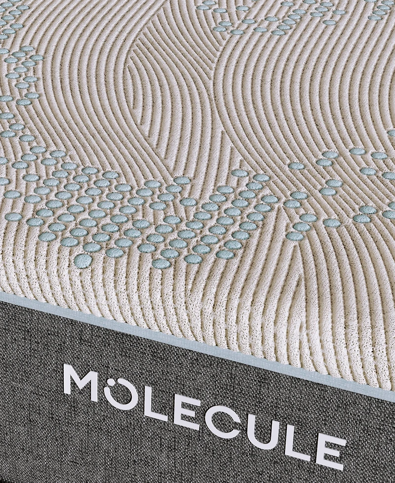 Molecule Reflex 11" Firm Memory Foam Tight Top Mattress in a Box