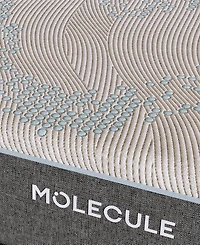 Molecule Reflex 11" Firm Memory Foam Tight Top Mattress in a Box
