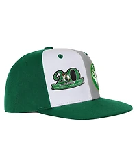 Mitchell & Ness Big Boys and Girls Kelly Green Boston Celtics Anniversary Duo Front Snapback Hat